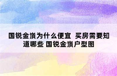 国锐金嵿为什么便宜  买房需要知道哪些 国锐金嵿户型图